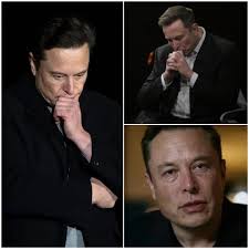 The American Ledger (@Saimascorner) • Facebook