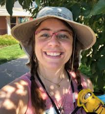 Where honeybees, bumblebees and solitary bees go in winter