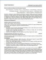 Financial Executive Resume Examples Executive Resume Sample Resume