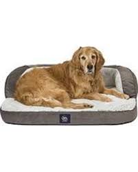 In the bolster dog bed category, orvis, snooze and petfusion are dominating the market by offering truly good quality big dog beds and great customer support. Serta Orthopedic Foam Sleeper Sofa Off 68 Www Usushimd Com