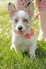 This little potato has got some silly faces to share with anyone who would  enjoy her. 🥰