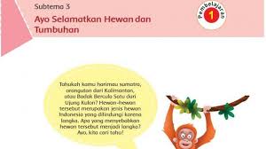 Kunci Jawaban Tema 1 Kelas 6 Sd Halaman 111 112 113 114 115 125 126 Buku Tematik Subtema 3 Tribun Padang
