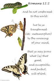 Transformation The Butterfly Soil Of The Soul Beautiful Butterflies Quotes Butterfly Quotes Transformation Quotes