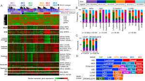 Bladder cancer awareness is represented by the colors yellow, blue and purple. Molecular Subtypes Of Urothelial Bladder Cancer Results From A Meta Cohort Analysis Of 2411 Tumors European Urology