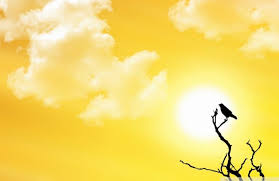 Dalam mengganti puasa ramadhan, harus dilaksanakan sejumlah hari puasa yang telah ditinggalkan. Dilarang Puasa Syawal Di Hari Jumat Konsultasi Agama Dan Tanya Jawab Pendidikan Islam