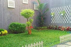 Setelah rumput hias di halaman rumah kamu tumbuh, lakukan penyiraman secara intensif. Wahyu Garden Bali Taman Bunga 9 Jenis Rumput Hias