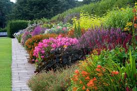 Rhs Gardening 코티지 가든 조경 코티지