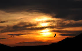 As sunset moves behind the houses, my home's silhouette is clearly visible. Sunset Silhouette Wallpaper 1920x1200 75130