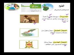 العلوم الرابع الابتدائي الفصل الثاني الدرس الاول المملكة الحيوانية اللافقاريات Youtube