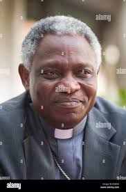 Peter turkson hi-res stock photography and images