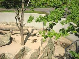 Öffnungszeiten bikini berlin, budapester str. Gratis In Berlin Bikini Haus Mit Blick Auf Affen Felsen