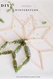 Diy Gruner Winterstern Winterdeko Basteln Winterdeko Einfach Selber Bastel Winterdeko Basteln Weihnachtsdeko Selber Basteln Weihnachtsstern Basteln