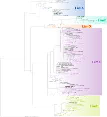 Louis abel by astrid wilson. Frontiers Ecological Differentiation In Two Major Freshwater Bacterial Taxa Along Environmental Gradients Microbiology