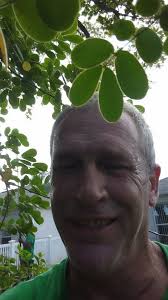 Crazy about bees I can whisper to them