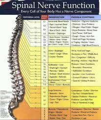 This Is So True I Have Cervical Kyphosis And Suffer From Everyone Of Those Cervical Problems To The Right So T Medical Knowledge Physical Therapy Subluxation