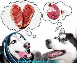 Can Huskies Eat Raw Meat Husky Puppies Info