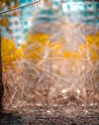 Viral New Cb Background Free Stock Image Download Now This opens in a new window.