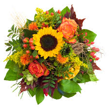 Riconciliatasi con il pegaso, spiega a lei, a pinkie e a spike la situazione della propria tribù e il disagio causato loro dagli abitanti di appleloosa, calmando capo zoccoli tonanti e interrompendo le sue divagazioni; Vendita Bouquet Di Fiori Misti Con Girasoli E Rose Online