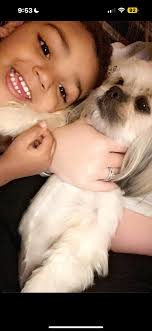 IM STILL LOOKING FOR MY DOG!!! 🥺🥺 It's been a couple of years but never  loose hope.