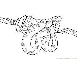 Check spelling or type a new query. 20 Free Printable Snake Coloring Pages Everfreecoloring Com