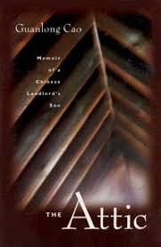 Click on trunks from the left hand menu, and then select add sip trunk. The Attic