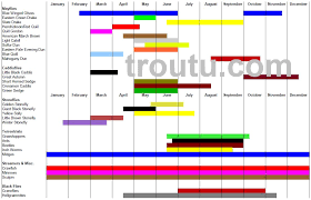 fly fishing hatch charts trout pro store