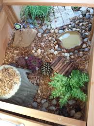Pin By Lynsey Warren On Tuco The Tortoise Tortoise House Turtle Habitat Tortoises