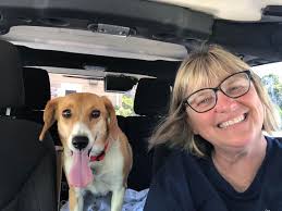 Meet Princess! Princess' rescue journey started when local rescuers took  her as an owner surrender from her life outside