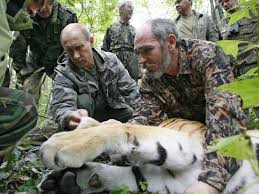 Kamchatka brown bear hunting with profihunt 2019profihunt ltd. 39 Photos That Prove Birthday Boy Vladimir Putin Is The Most Badass Leader In The World