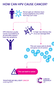 I would also recommend avoiding highly processed foods and foods high in sugar. Does Hpv Cause Cancer Cancer Research Uk