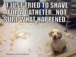 Wanna ask a vet tech? Pin By Bel Rea Institute Of Animal Te On Bel Rea Vet Tech Vet Tech Humor Tech Humor Vet Medicine