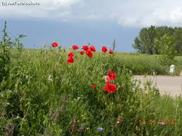 Locuri de munca in suedia contract și cazare gratuit !! O Plimbare La Giurgiu Impresii O Zi In Giurgiu Si Sau Imprejurimi Giurgiu Amfostacolo