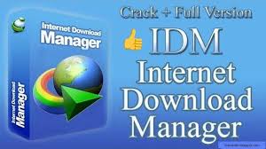Once you have inserted the url you can choose the kind of file. Idm 6 36 Internet Download Manager Cracked Free Download Download Internet Management