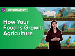 Unlimited access to agriculture market reports on 180 countries. Cbse Notes Class 8 Geography Chapter 4 Agriculture Study Material To Revise