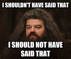 Should Not Have Said That Hagrid Divorce Memes Sayings Divorce Humor