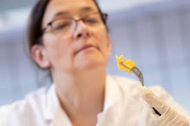 Aufbruch in Übersee