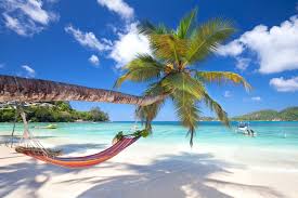 Finde günstige flüge nach seychellen mit momondo. Seychellen Pauschalreisen Online Preiswert Buchen Auf Reise De