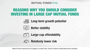 Only 26% Of Large Cap Funds Have Outperformed Over 10 Years | Articles |  Morningstar India