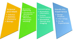 What Classes Will I Have To Take For A Degree In Biomedical Engineering
