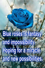 Pin By Emma Corona Teodoro On Quotes Wishes Blue Rose Meaning Rose Meaning Beautiful Rose Flowers