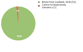 Image result for Tripogon minimus