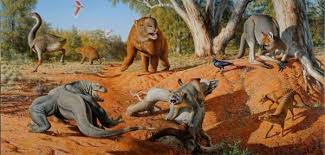 Humans Killed Off Australia S Megafauna Not Climate Change Brooks Hays Jan 20 Upi New Research Suggests Human Giant Animals Australia Animals Megafauna