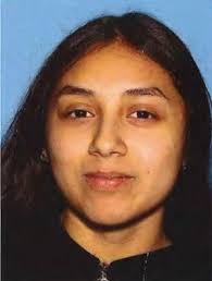 Adventures in Law, Parenting, and Other Righteous Things — Andrew Ackley