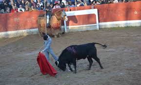 El Bolsín Taurino de Ciudad Rodrigo, Premio Tauromaquia de Castilla y León  2021 - SoriaNoticias