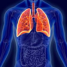 How do health care professionals determine lung cancer staging? How Long Do You Live After Being Diagnosed With Lung Cancer Lung Cancer Lawsuit Lawyers Pintas Mullins Law Firm