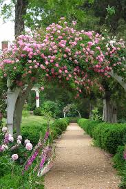 Pin By Roberta Hinds On Gardens Garden Design Garden Belos Jardins Jardim Ornamental Jardim Ingles
