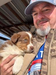 Our new baby! UFO! (Prounounced ooo-FO). He leads with his hiney…his  tush…and it's so funny! He plays relentlessly with our old ladies Maggie  and Miley. When he rests…we love him again and