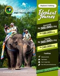 Elephant Journey