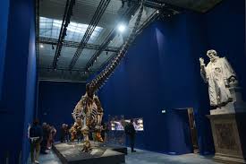 Du 18 novembre 2019 au 19 janvier 2020. Musee D Histoire Naturelle De Paris Galeries Horaires Tarifs Preparer Votre Visite