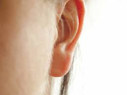 Vellus Hair What Is It And How Does It Grow